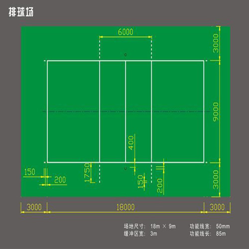 排球場標準尺寸